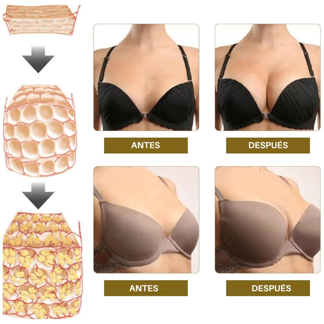 PARCHE DE JENGIBRE REALZA BUSTO X6